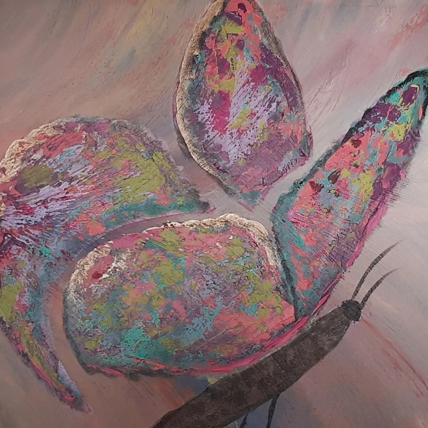 Colourful Butterfly